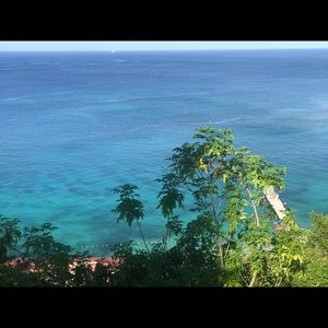 Meet your Posher, Wayne